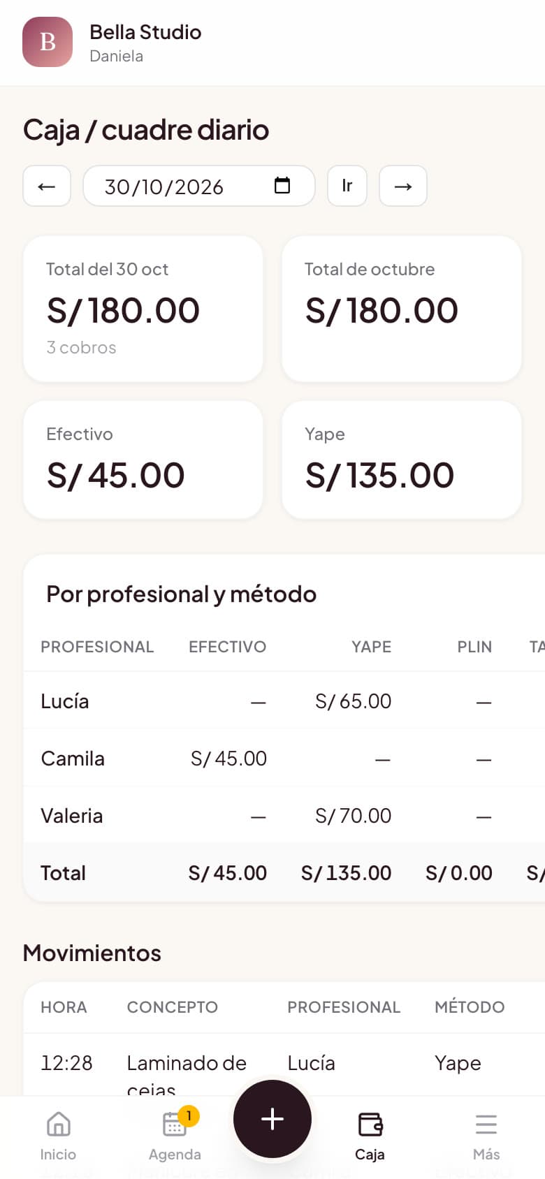 Caja del día por profesional y método de pago